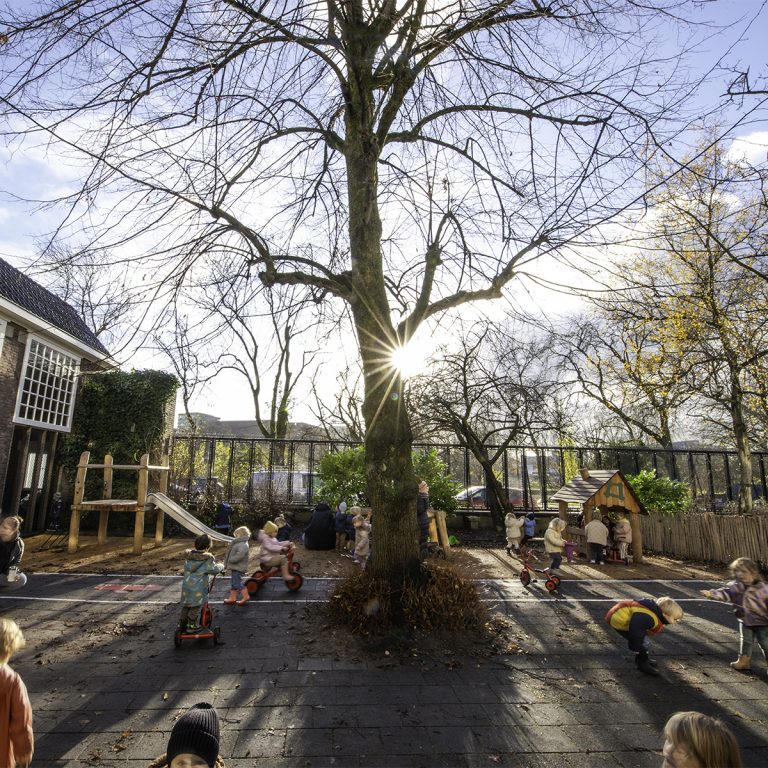Speeltuin achter Oya's